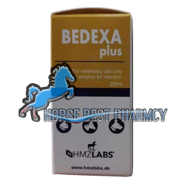 Buy Bedexa Plus Online