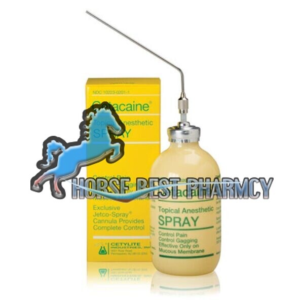 Buy Cetacaine Topical Spray Online