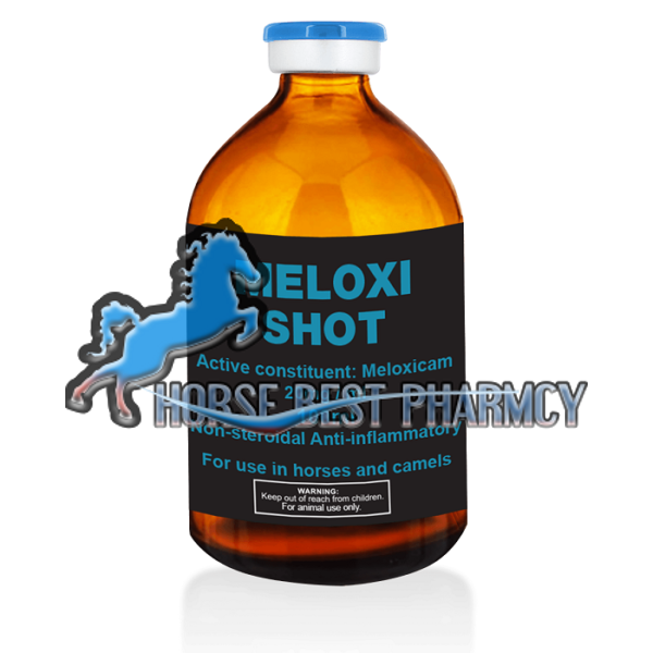 Buy Meloxi Shot Online