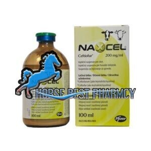 Buy Naxcel 200mg Online