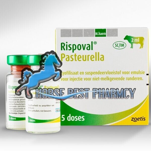 Buy Rispoval Pasteurella Online